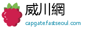 威川網